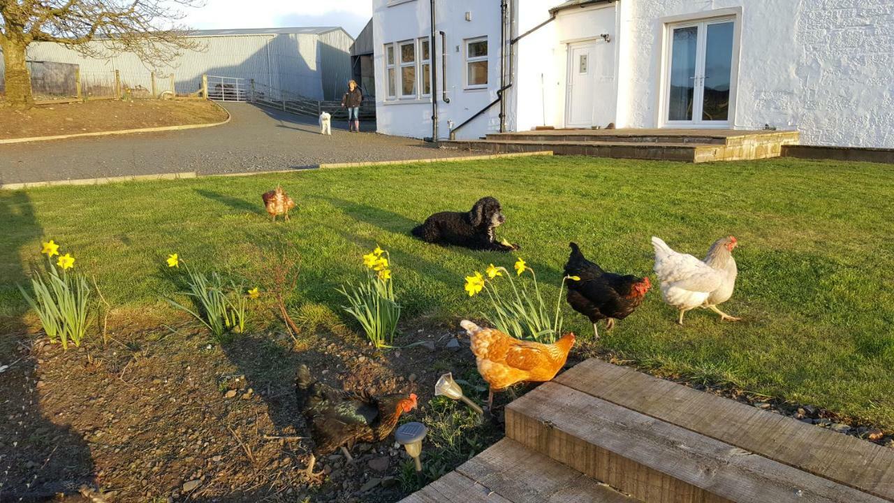 Crofthead Farm House Tarbolton Exterior photo